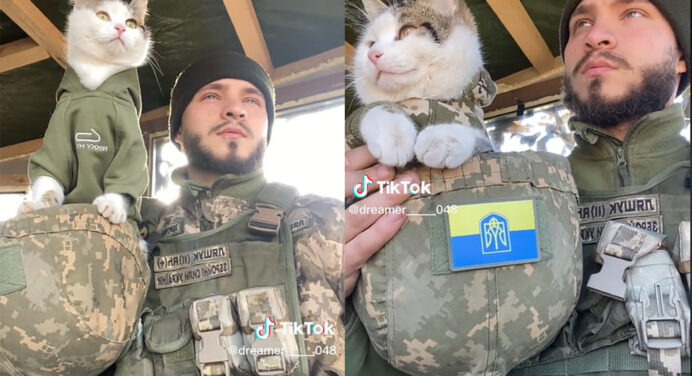 КПП для тварин і котячий бронік: для українських захисників немає нічого неможливого 