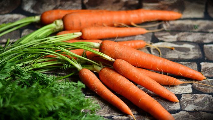 Правила посіву моркви під зиму