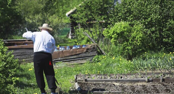 Посівний календар для городників на травень 2024 року: що та коли потрібно саджати, щоб краще росло? 