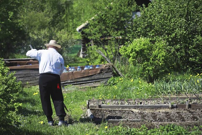 Посівний календар для городників на травень 2024 року