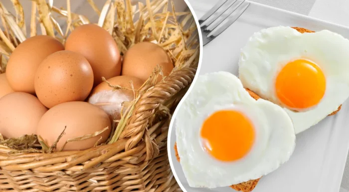 Курячі яйця: правила заморозки