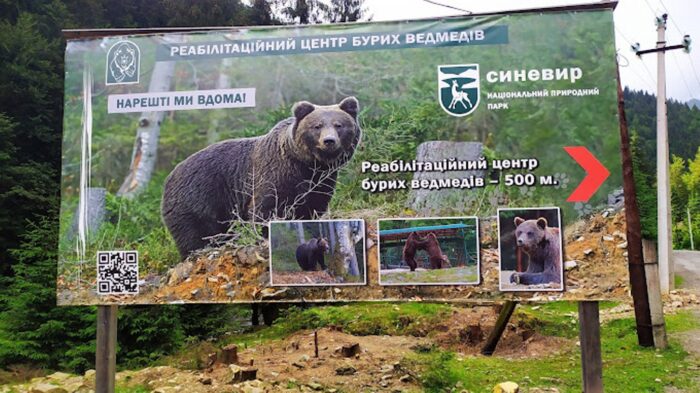 Національний парк Синевір та центр реабілітації бурих ведмедів