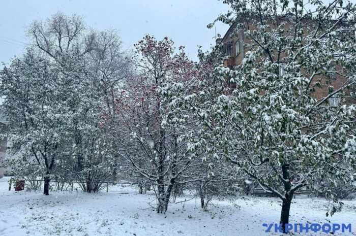 Перший сніг завітав до столиці/Фото: Укрінформ