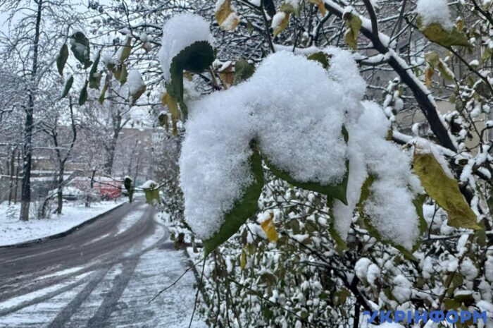 Снігові пейзажі столиці/Фото: Укрінформ