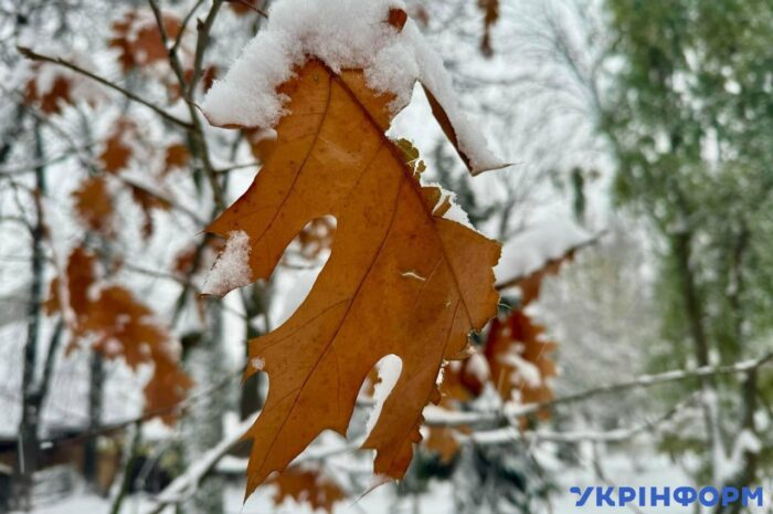 Київська зима в листопаді/Фото: Укрінформ