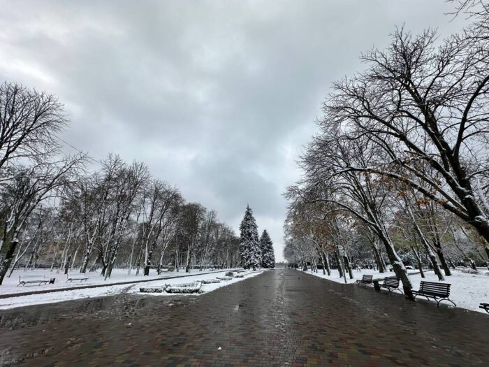 Сніг в Полтавській області в 2023 / Фото: редакція Один факт