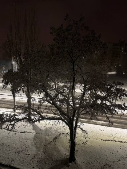 Перший сніг в Україні / Фото: редакція Один факт