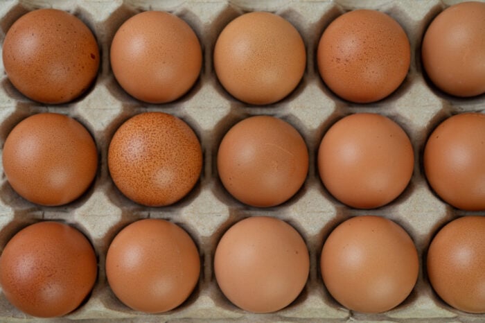 Яйця з коричневою шкарлупою несуть кури з темним оперенням