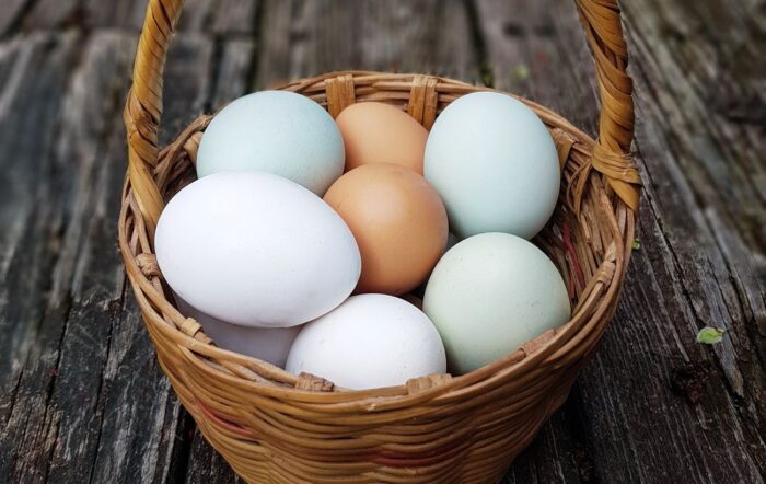 Курячі яйця можна заморожувати
