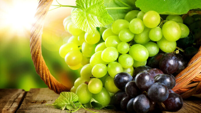 12 листопада - день виноградарів, виноробів та садівників України