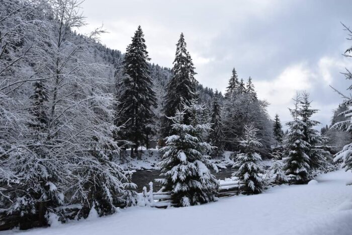 Зимовий пейзаж у парку Синевир/Фото: Facebook, Національний природний парк Синевир