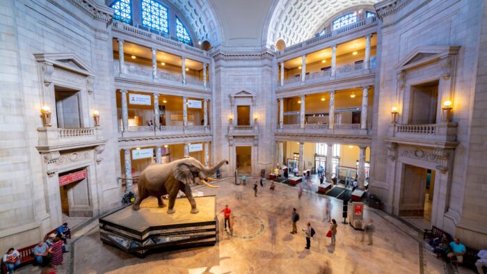 Національний музей природознавства у Вашингтоні, Америка