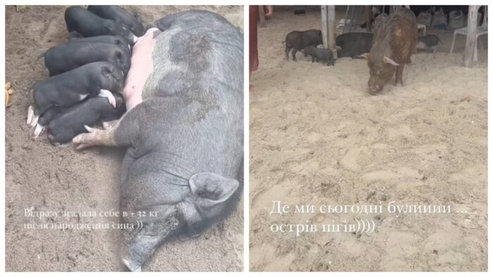 Ксенія Мішина побувала на острові свиней у Таїланді