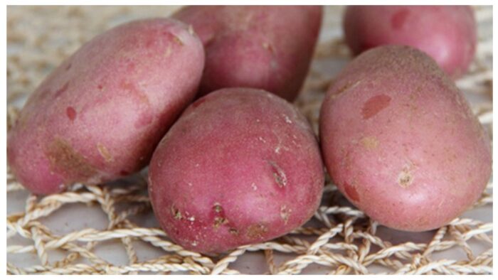 Картоплю для посіву варто перевіряти вже в січні