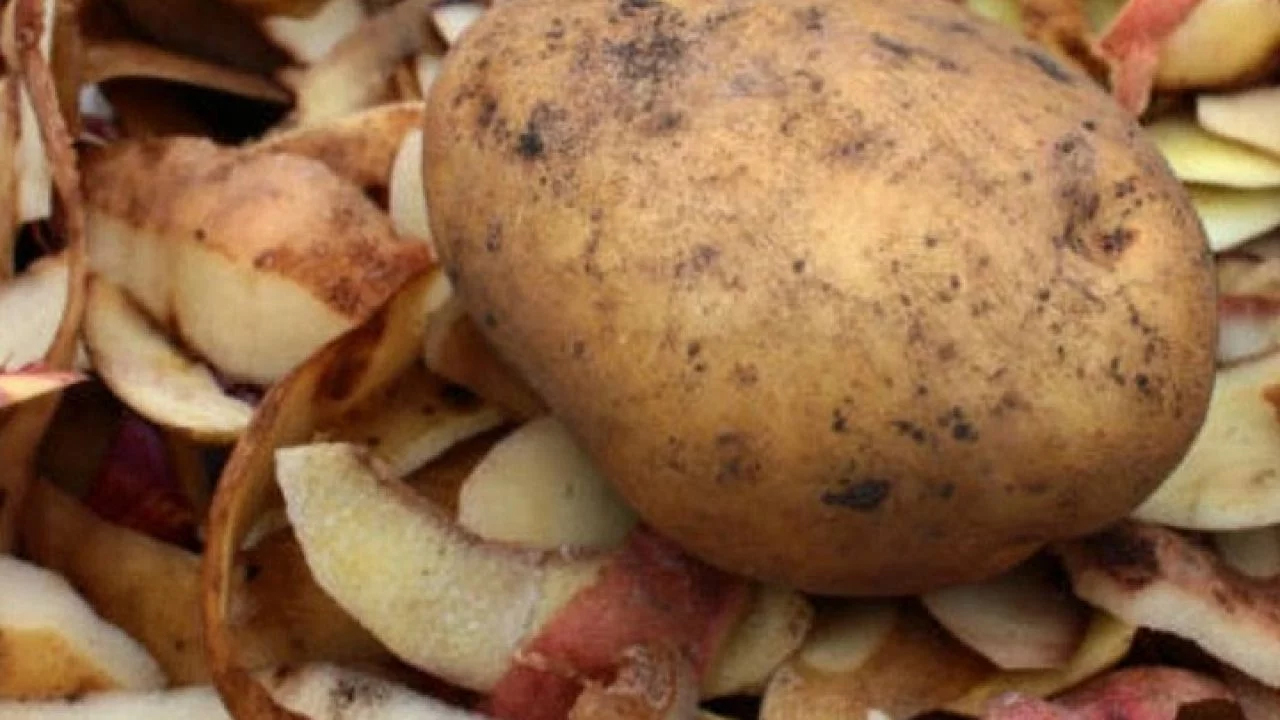 Експерти поділились лайфхаком, як використати картопляне лушпиння