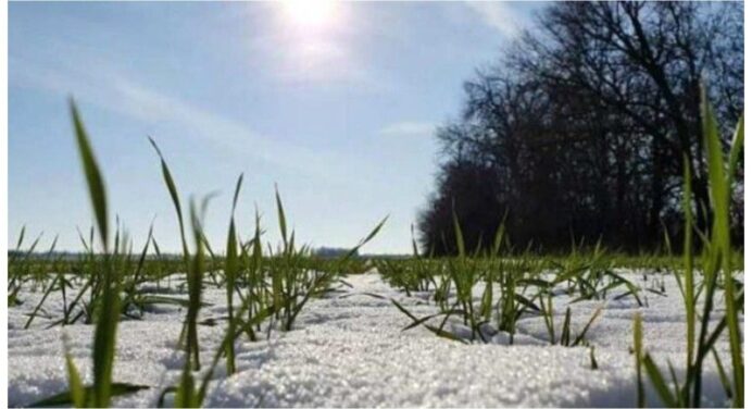 Майже літо: в Україні скоро потеплішає до + 19ºC – точний прогноз погоди від синоптиків на найближчі дні 