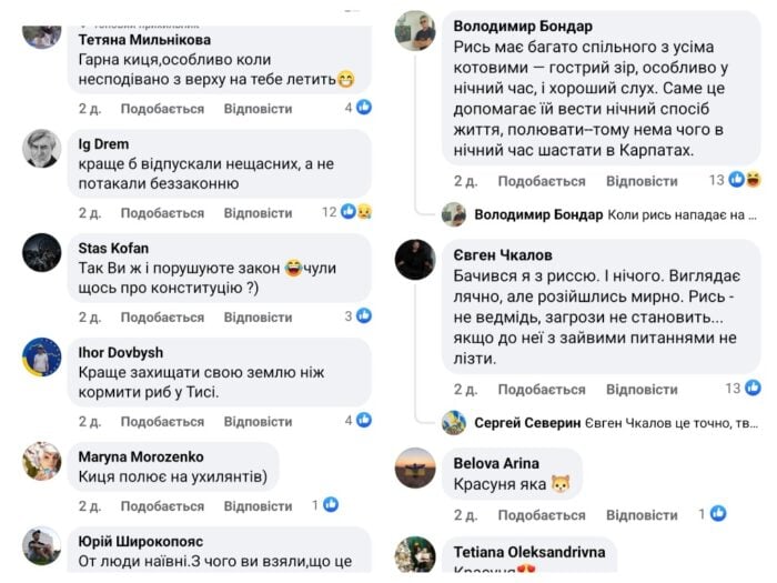 Коментарі користувачів під дописом української прикордонної служби зі світлинами рисі