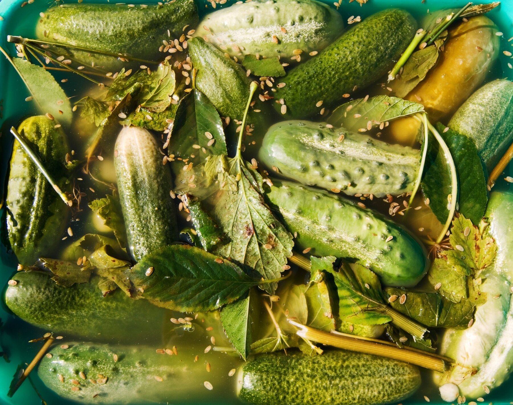 Рецепт, як приготувати бочкові огірки в баклажках, які будуть стояти роками