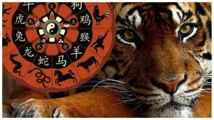що китайський гороскоп пророкує для Бика, Тигра і Мавпи на 15 квітня 2024 року?