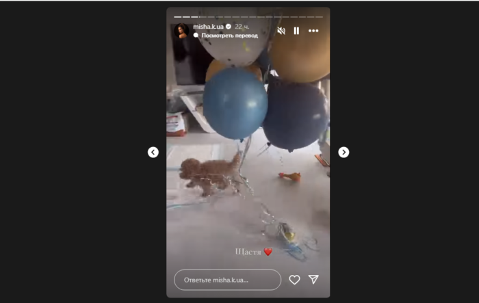 Рудошерстий пес Одін погрався із повітряними кульками