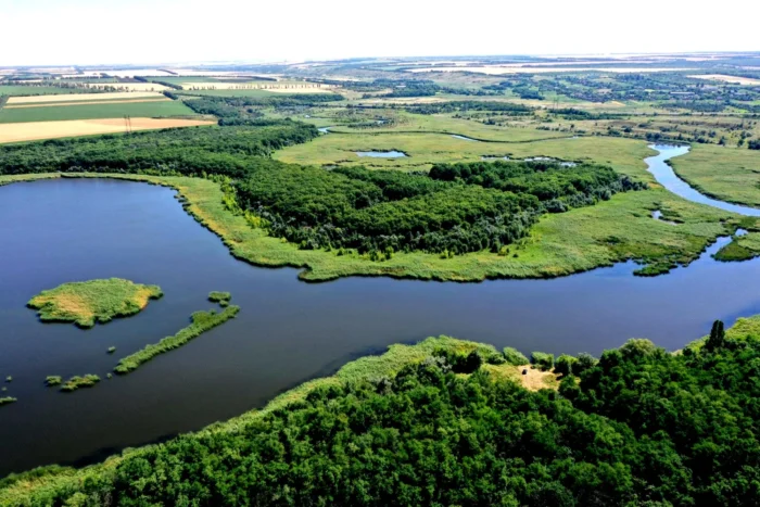 Водоймище заповідника