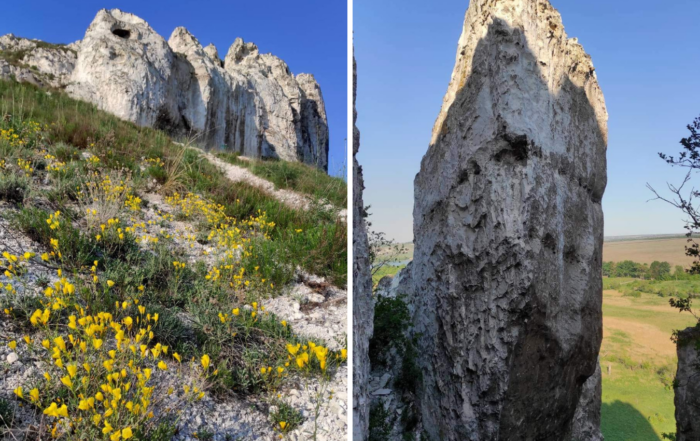 Краϵвиди Донеччини: скелі в селищі Білокузьминівка