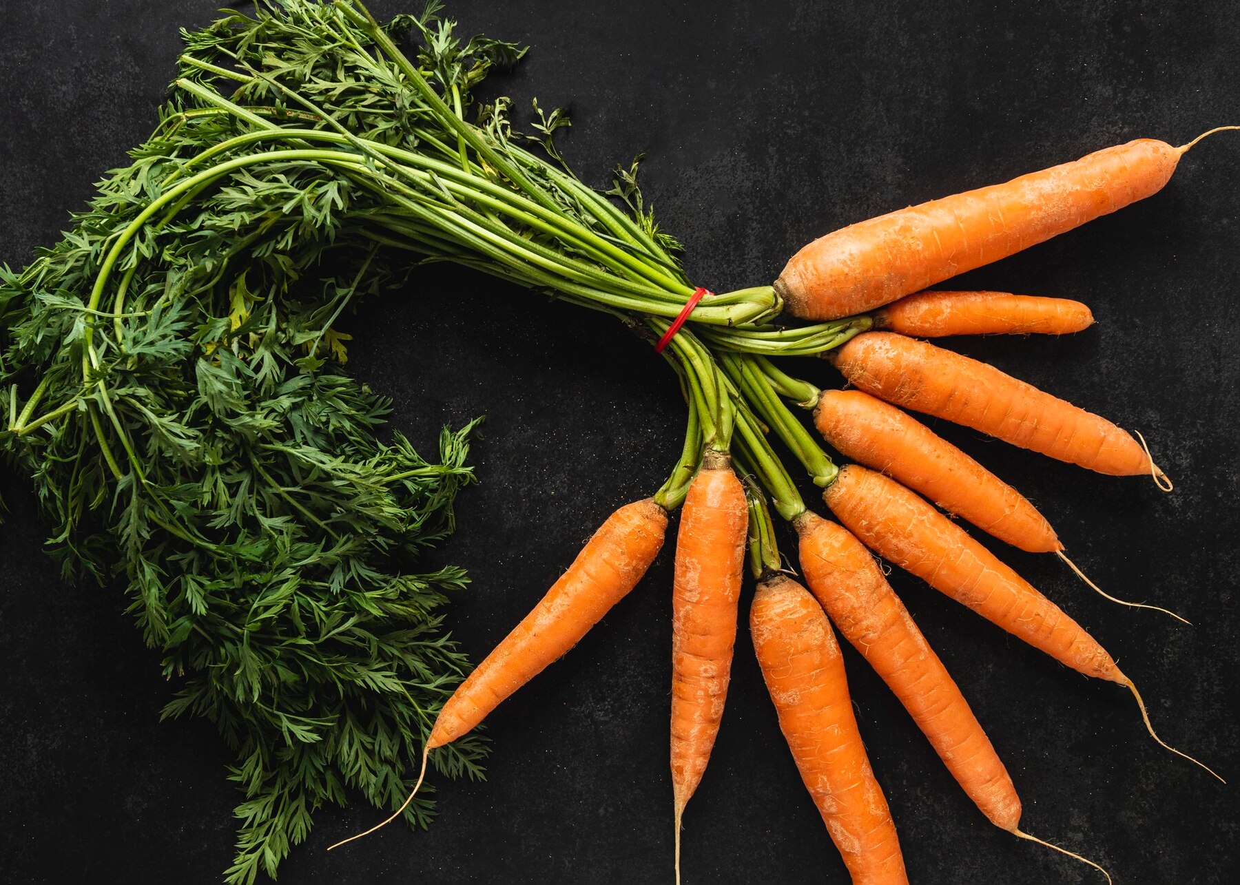 Садівники розповіли, як правильно вирощувати моркву на городі
