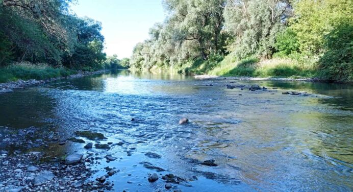 Біжить через 5 країн, а верхівʼя знаходиться в Україні: таємниці і цікаві факти про закарпатську річку Тиса 