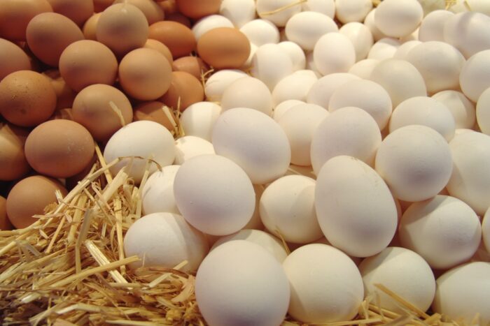 В Україні на початку червня 2024 року подешевшали курячі яйця в порівнянні з минулим роком