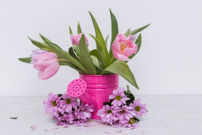 Які квіти та рослини в домі краще не тримати: народні експерти дали пораду