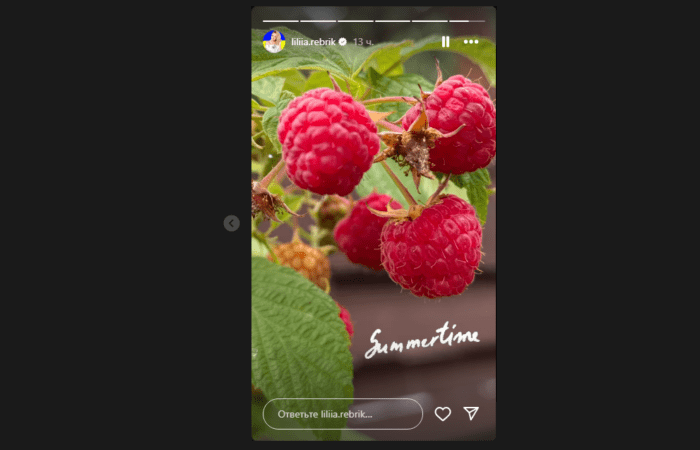 Лілія Ребрик показала домашній врожай малини